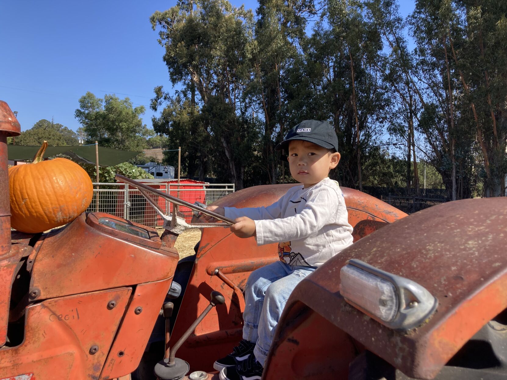 Picking Pumpkins 2022